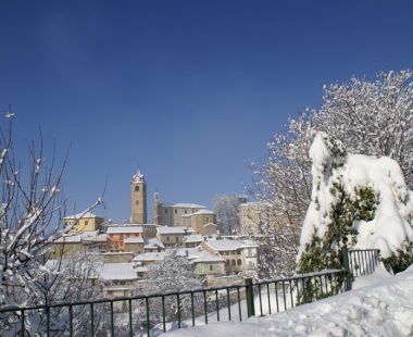 Monforte d’Alba