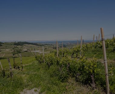 Le Langhe