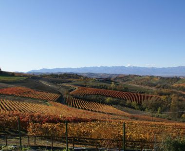 Le Langhe