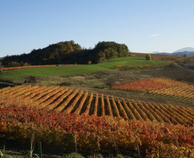 Le Langhe