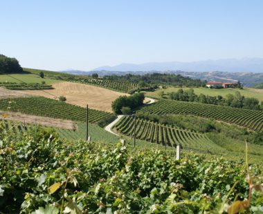 Le Langhe