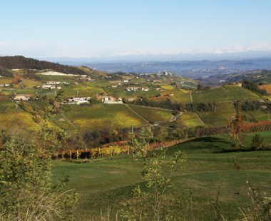 Le Langhe