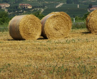 Le Langhe