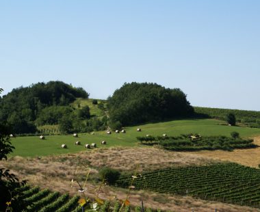 Le Langhe