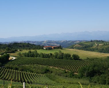 Le Langhe