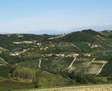 Le Langhe