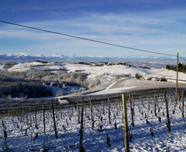 Le Langhe