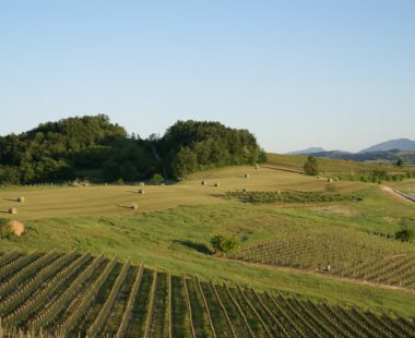 Le Langhe