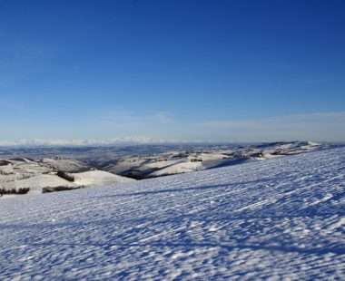 Le Langhe