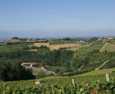 Le Langhe