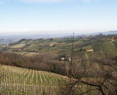 Le Langhe