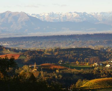 Le Langhe