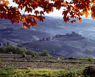 Le Langhe
