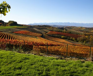 Le Langhe